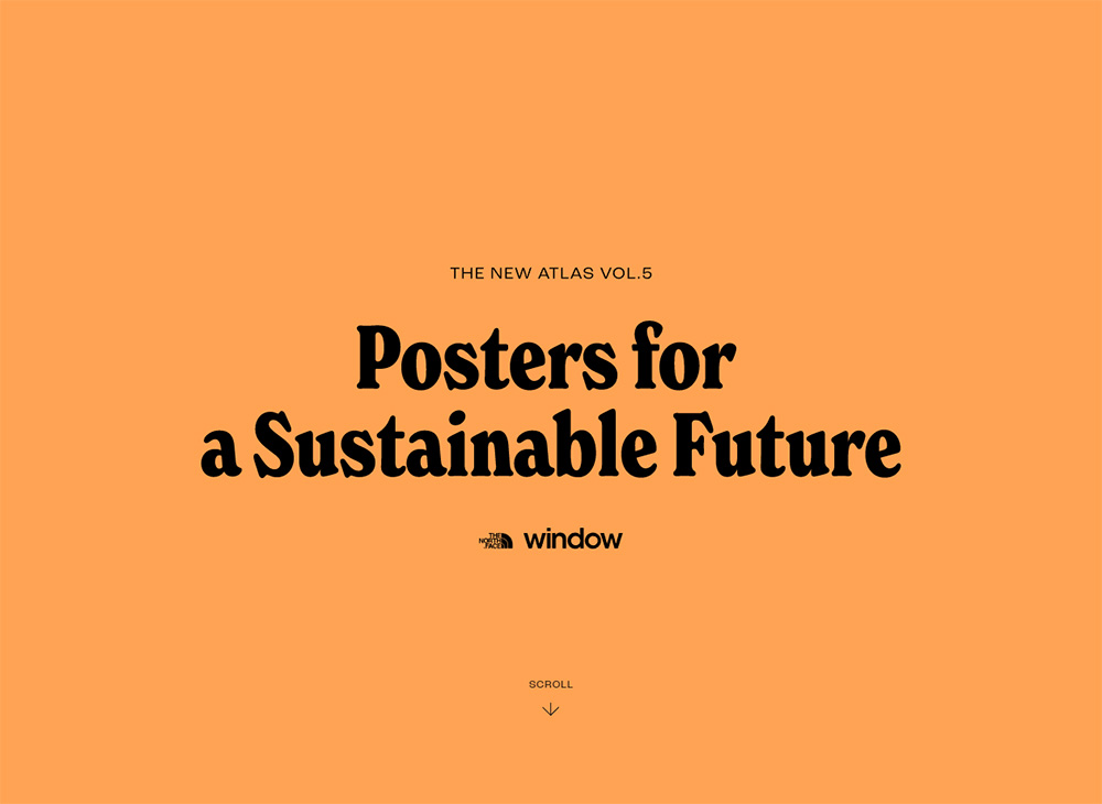 Posters for a Sustainable Future | Window