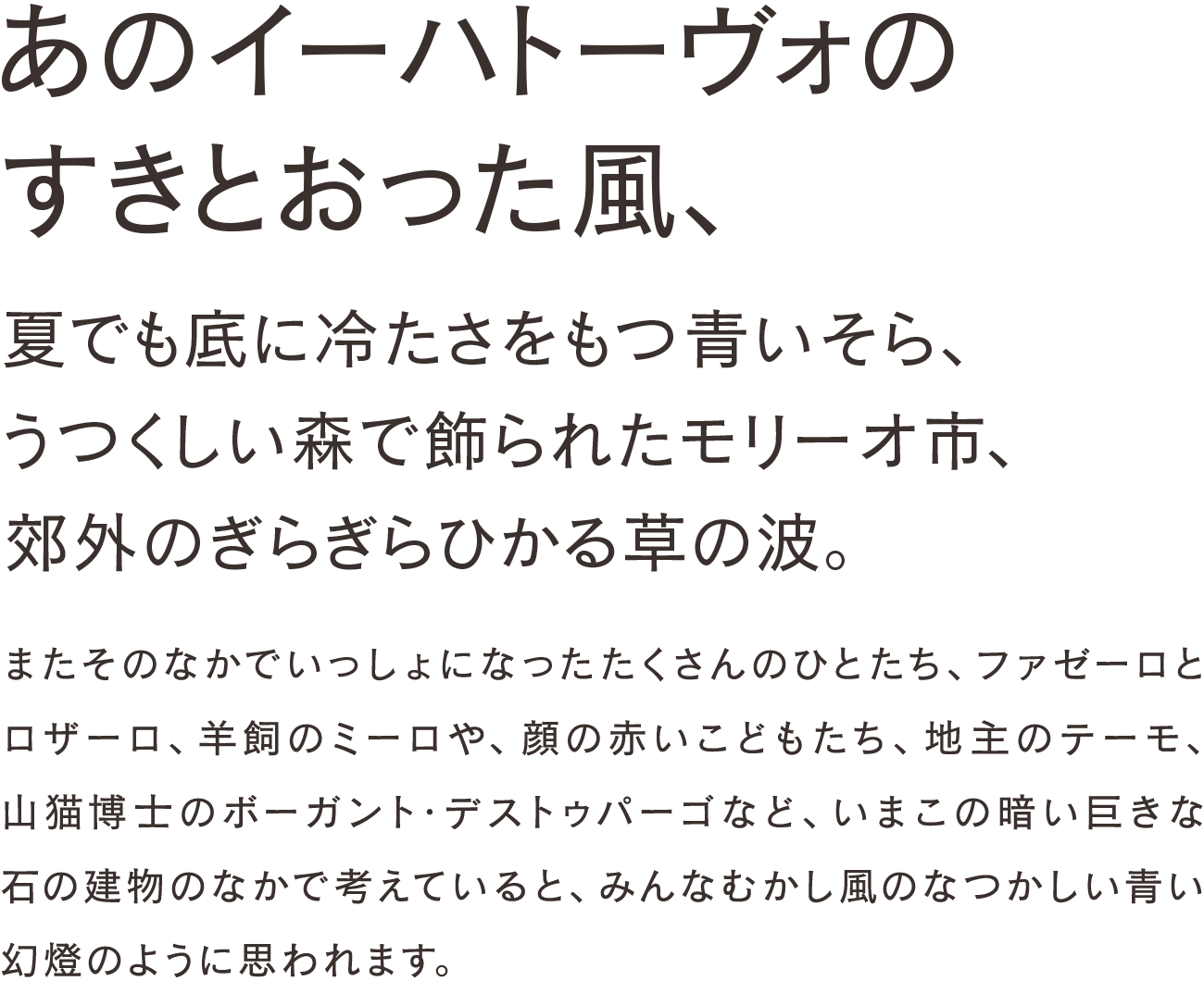 セザンヌ Mの組見本