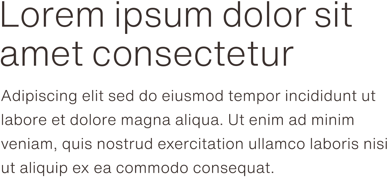 Helvetica Now Text Lightの組見本